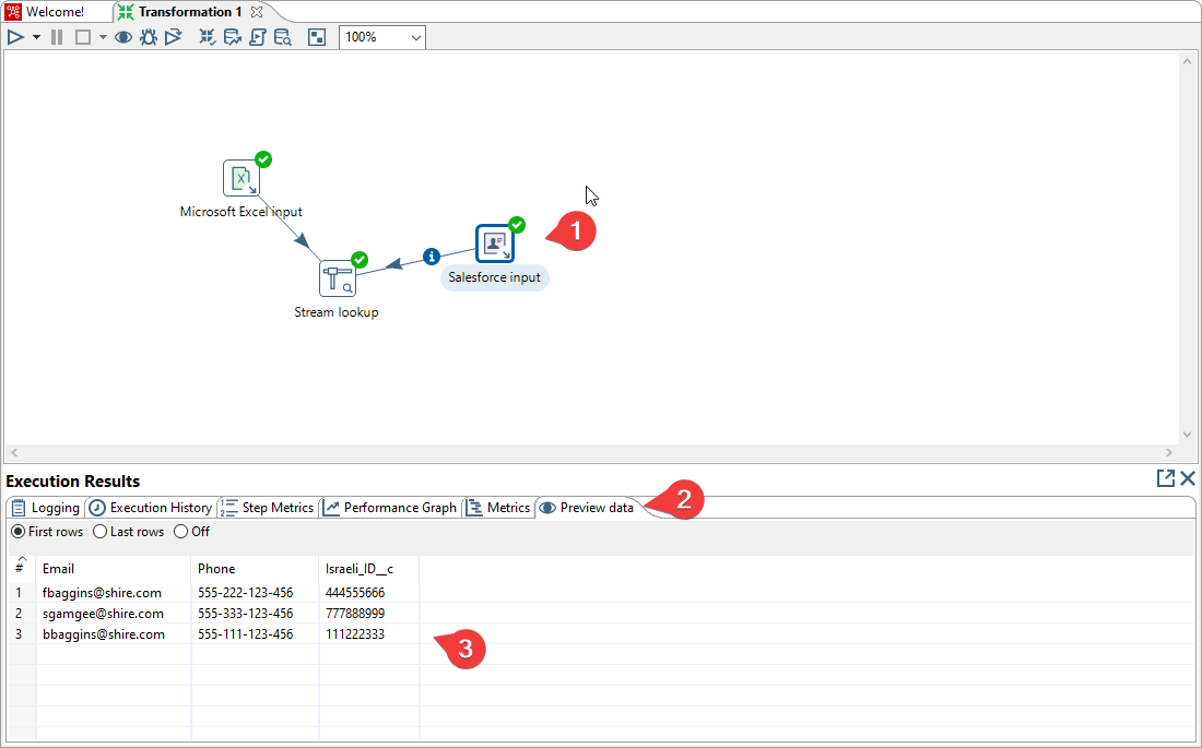 Salesforce Input Preview Data